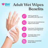 BW Adult Wet Wipes (Gentle to Skin) – XL ( Ctn - 12 Packs)
